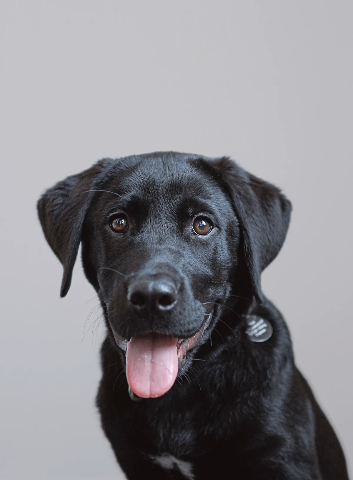 Arya von Winterfell-Barré, Junior Welcome Experience Designer