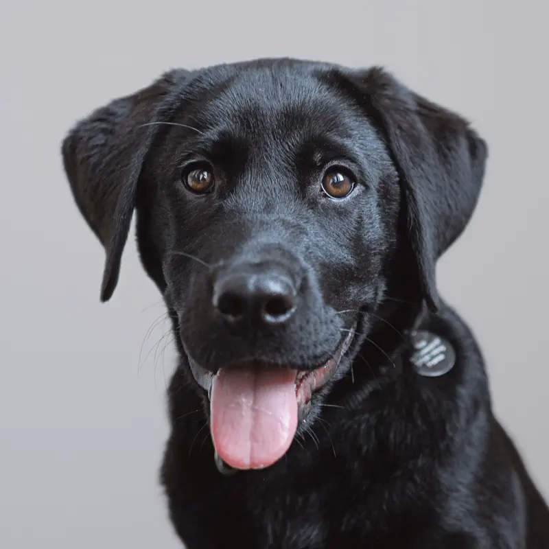 Arya von Winterfell-Barré, Junior Welcome Experience Designer