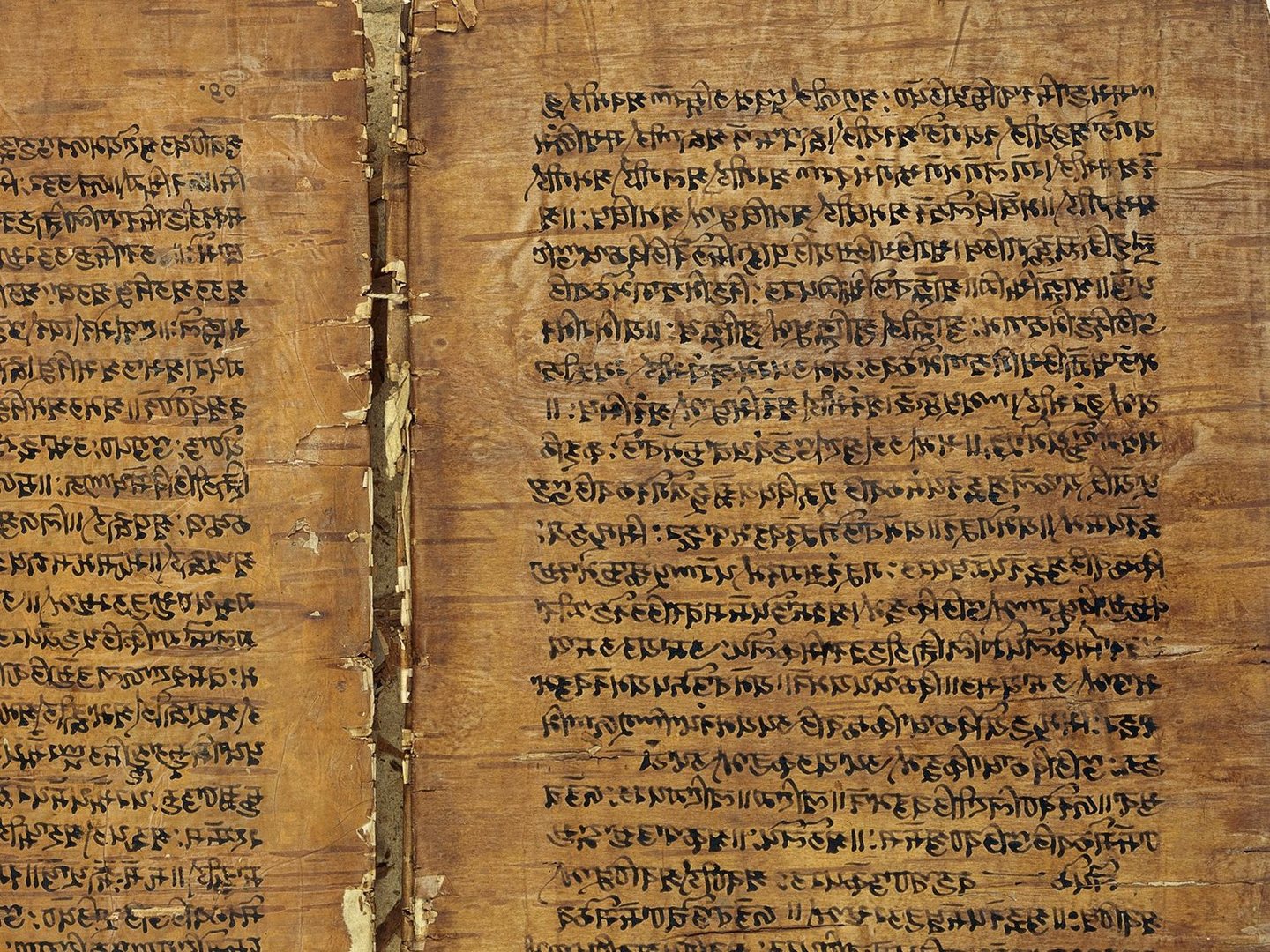 Manuskript auf Birkenrinde: das Rupavatra, ein Grammatik-Buch auf Basis der Sanskrit-Grammatik